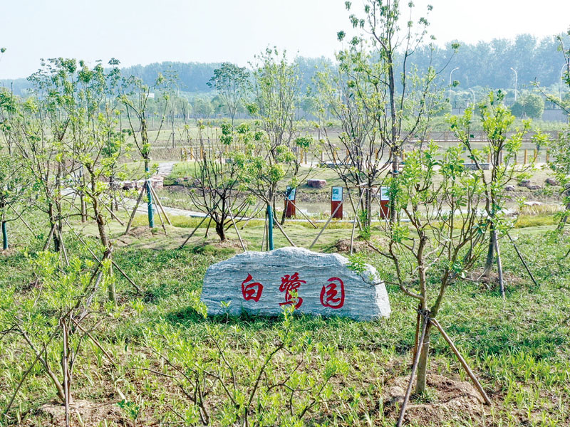 中韓石化白鷺園濕地景觀工程